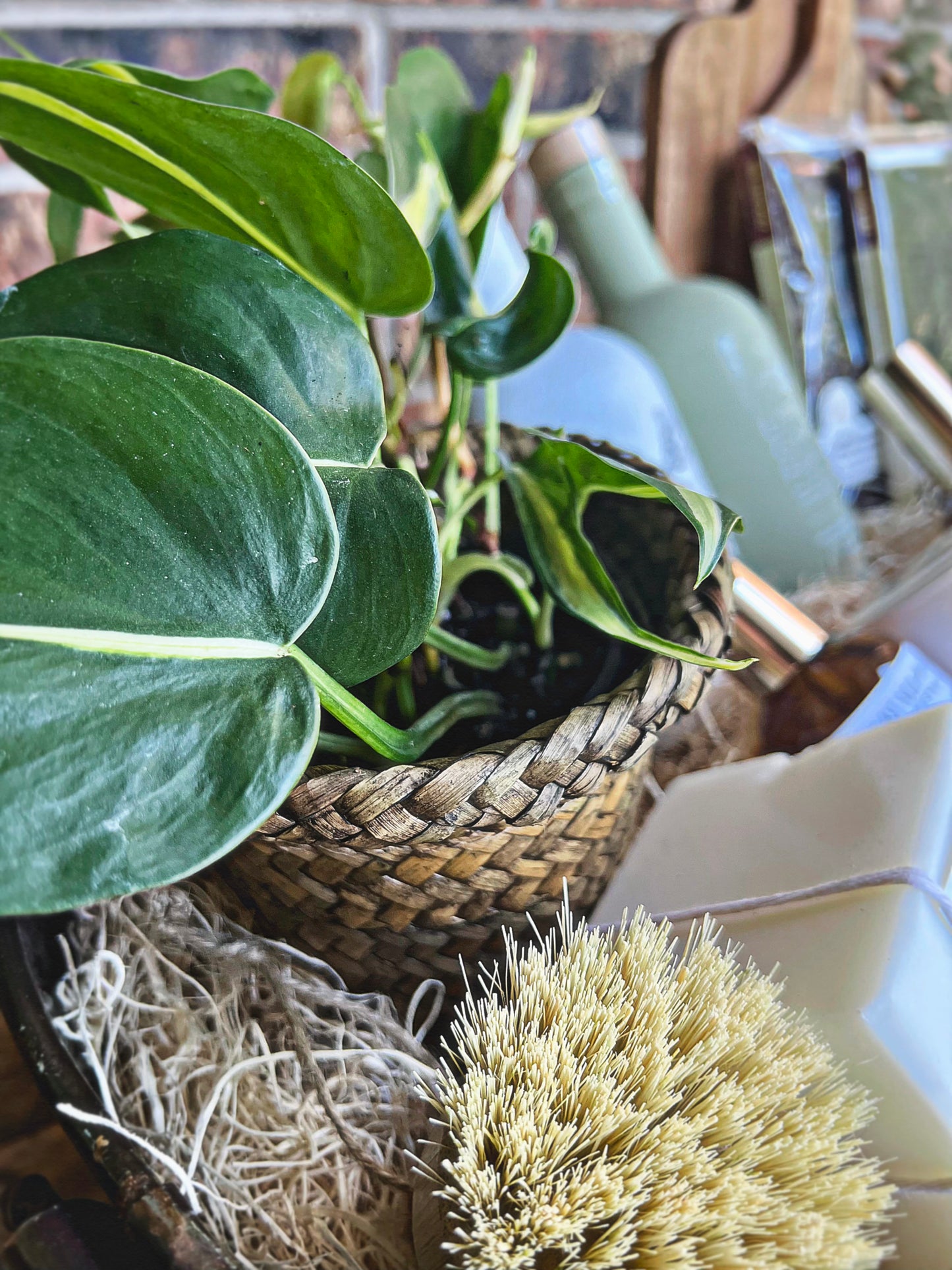 Botanical Welcome Basket