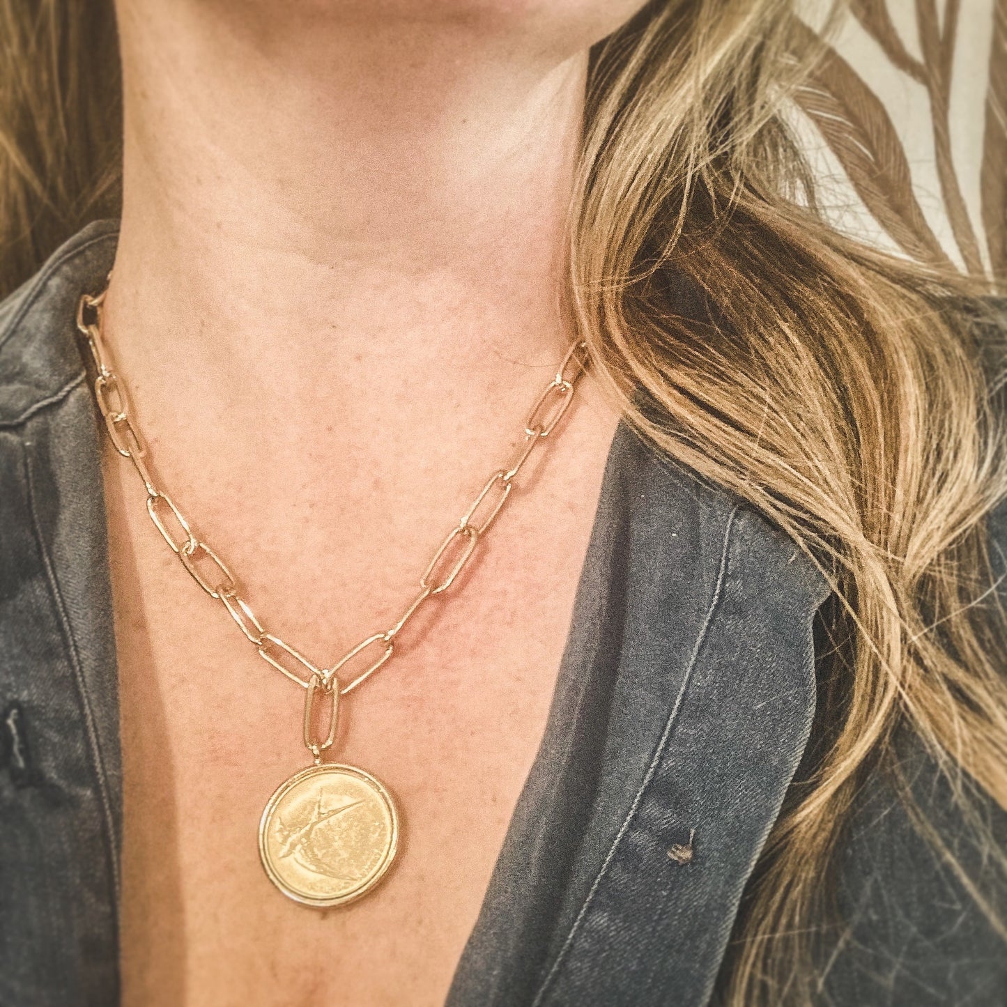 Barn Swallow Coin Necklace